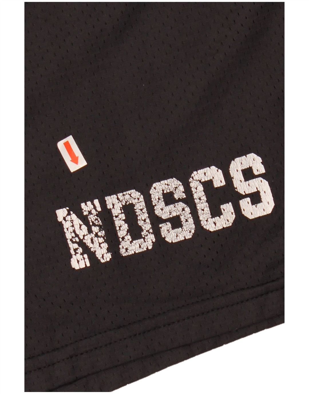 Ανδρικό γραφικό αθλητικό σορτς Champion XL μαύρο νάιλον