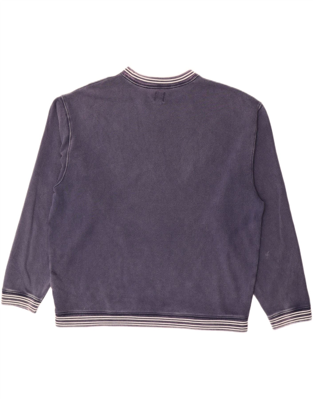 Ανδρικό γραφικό φούτερ Gap Jumper Μεγάλο μπλε ριγέ βαμβακερό
