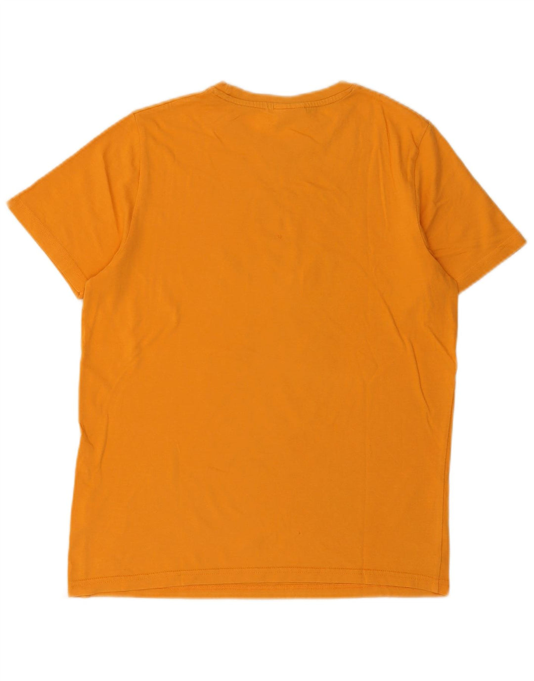 Ανδρικό γραφικό μπλουζάκι Ellesse Top Μικρό κίτρινο βαμβακερό