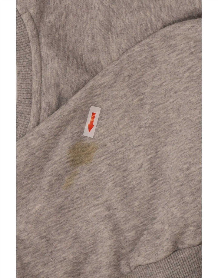 Ανδρικό γραφικό φούτερ Puma Jumper XS Γκρι βαμβακερό