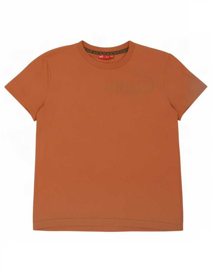 Ανδρικό γραφικό μπλουζάκι Puma Top Large Πορτοκαλί