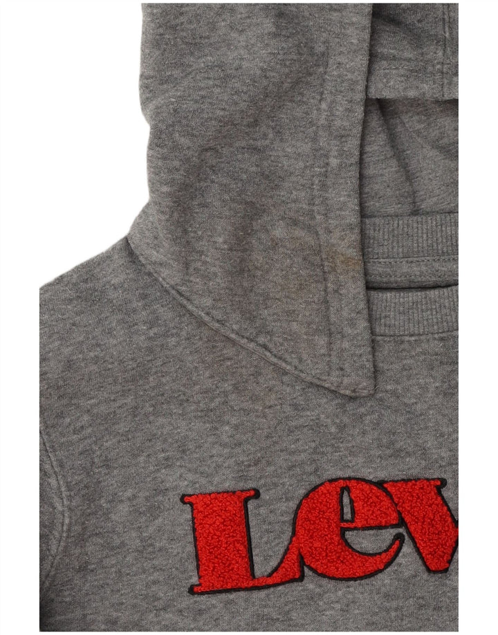 Levi's Boys Graphic Hoodie Jumper 9-10 Years Grey Cotton