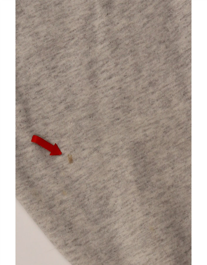 Champion Mens Graphic Hoodie Jumper XL Grey