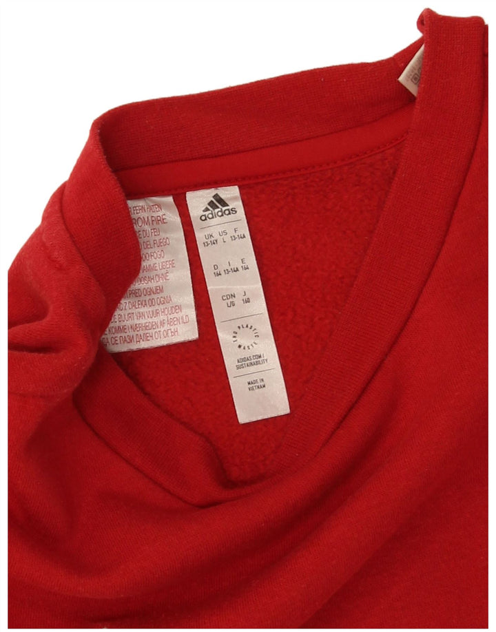 Φούτερ Adidas Boys Jumper 13-14 ετών Κόκκινο βαμβακερό
