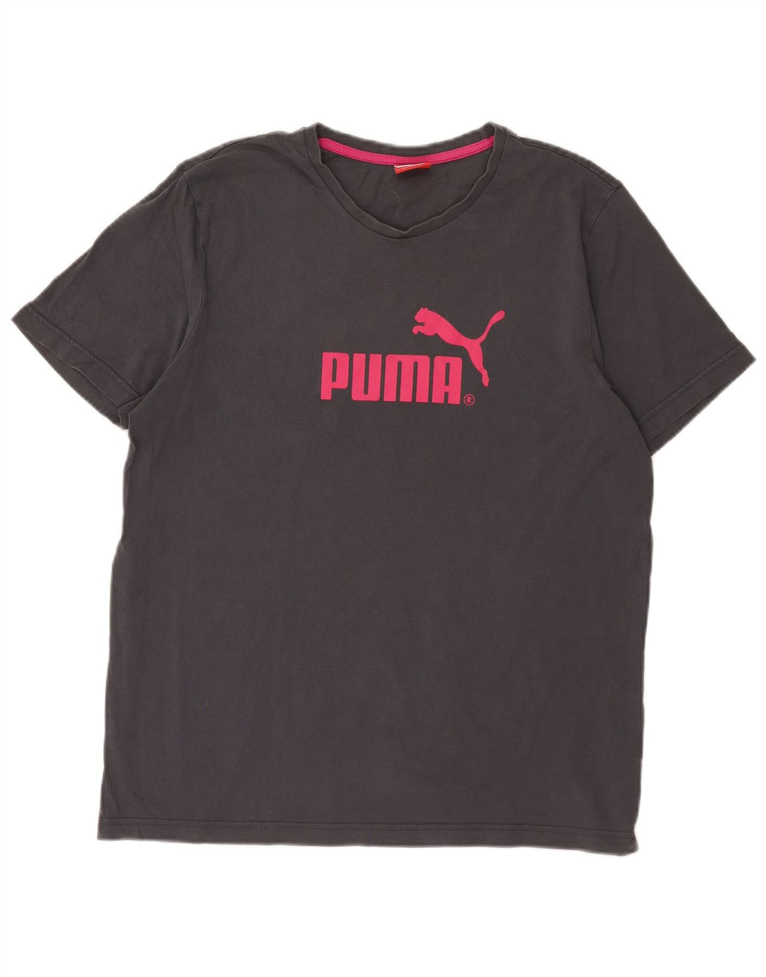 Ανδρικό γραφικό T-Shirt Puma Top Larg γκρι βαμβακερό