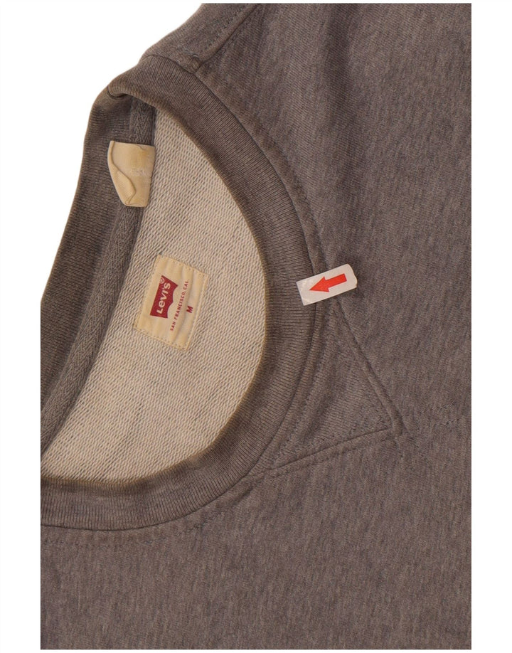 Ανδρική φούτερ Levi's Jumper Μεσαίο γκρι βαμβακερό