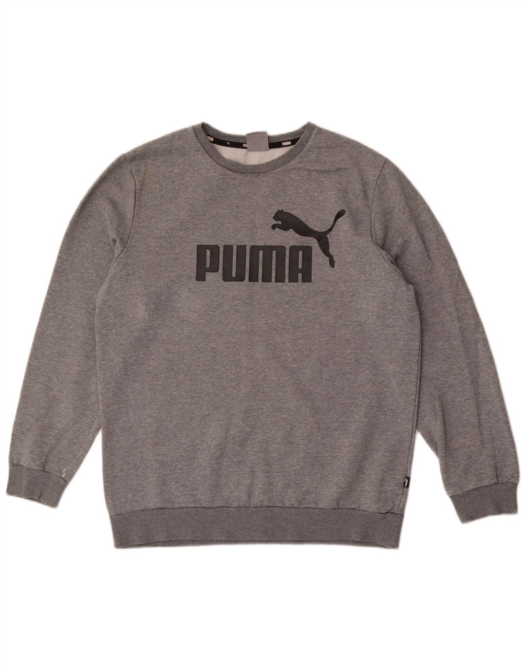Ανδρικό γραφικό φούτερ Puma Jumper Μεσαίο γκρι βαμβακερό