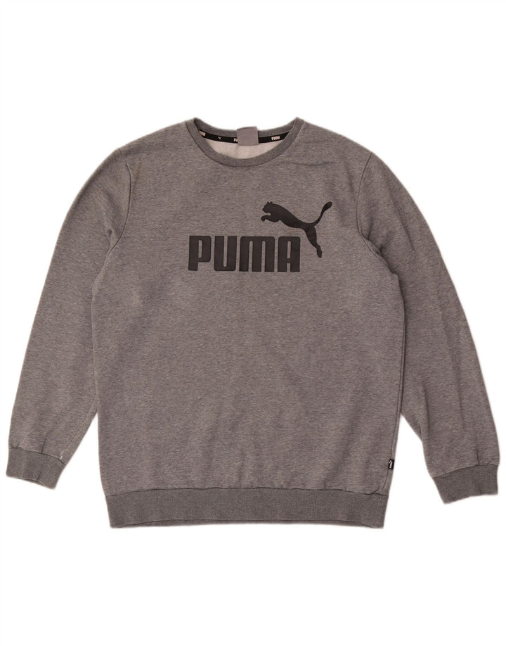 Ανδρικό γραφικό φούτερ Puma Jumper Μεσαίο γκρι βαμβακερό