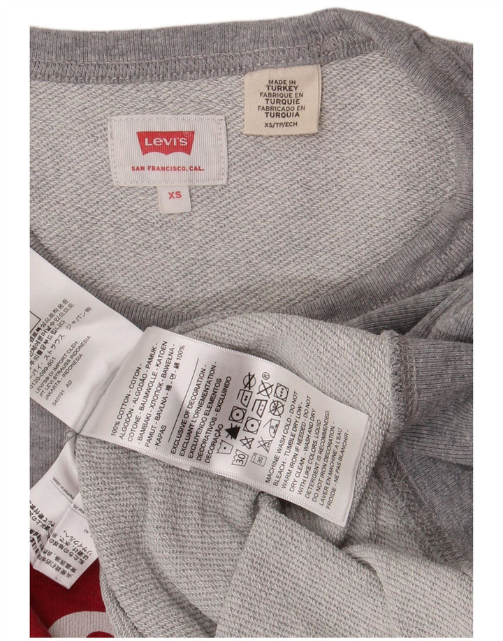 Ανδρικό γραφικό φούτερ Levi's Jumper XS Γκρι βαμβακερό