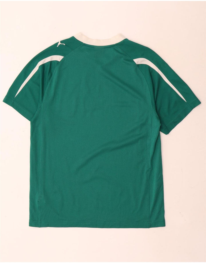 Ανδρικό γραφικό μπλουζάκι Puma Top Small Green Colourblock Πολυεστέρας