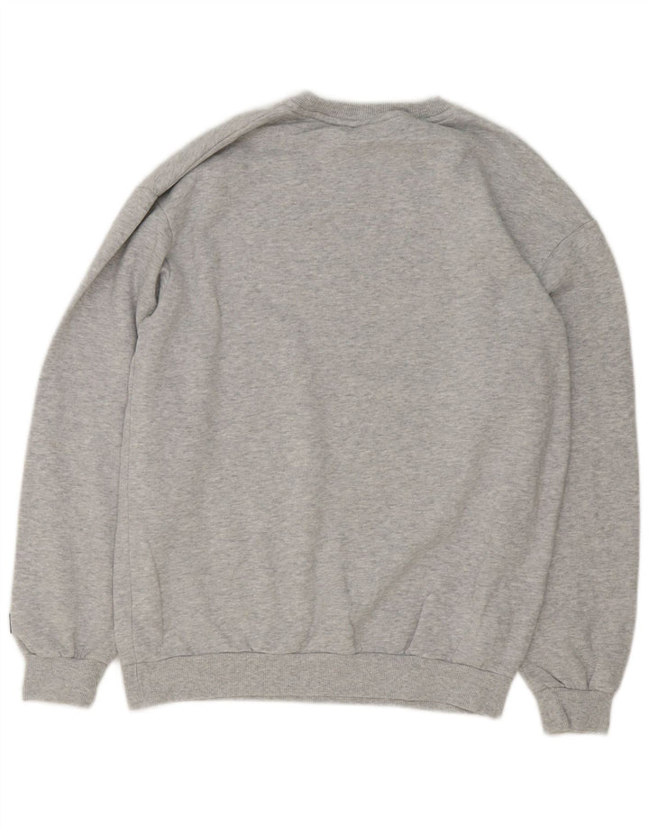Ανδρικό γραφικό φούτερ Fila Jumper Μικρό Γκρι Βαμβακερό