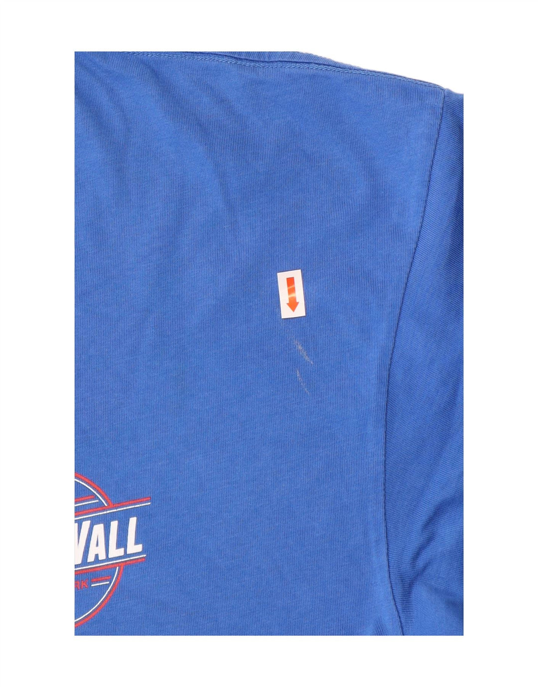 Ανδρικό T-Shirt VANS Classic Graphic Top μεγάλο μπλε βαμβακερό