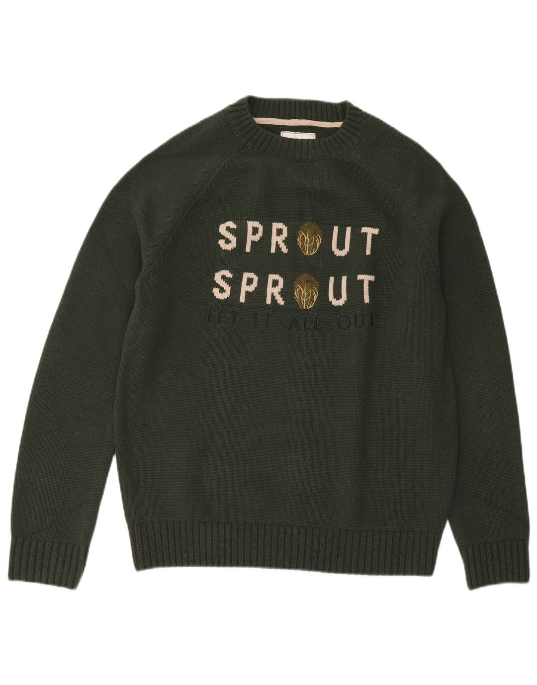Ανδρικό πουλόβερ Joules Graphic Crew Neck Jumper Μεσαίο πράσινο ακρυλικό