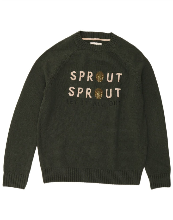 Ανδρικό πουλόβερ Joules Graphic Crew Neck Jumper Μεσαίο πράσινο ακρυλικό