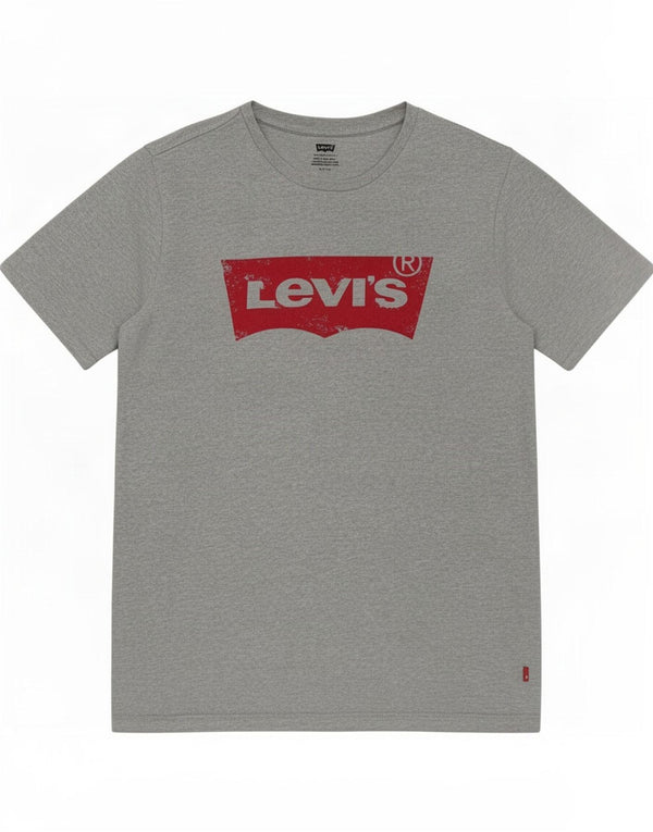 Ανδρικό γραφικό μπλουζάκι Levi's Small γκρι βαμβακερό