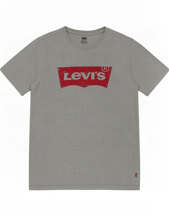 Ανδρικό γραφικό μπλουζάκι Levi's Small γκρι βαμβακερό