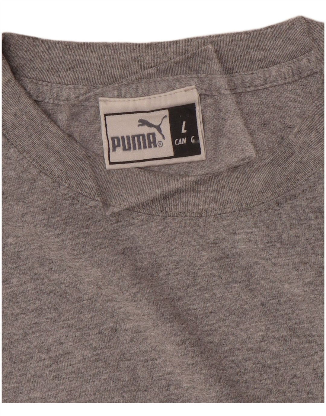 Ανδρικό γραφικό μπλουζάκι PUMA Top Large Grey