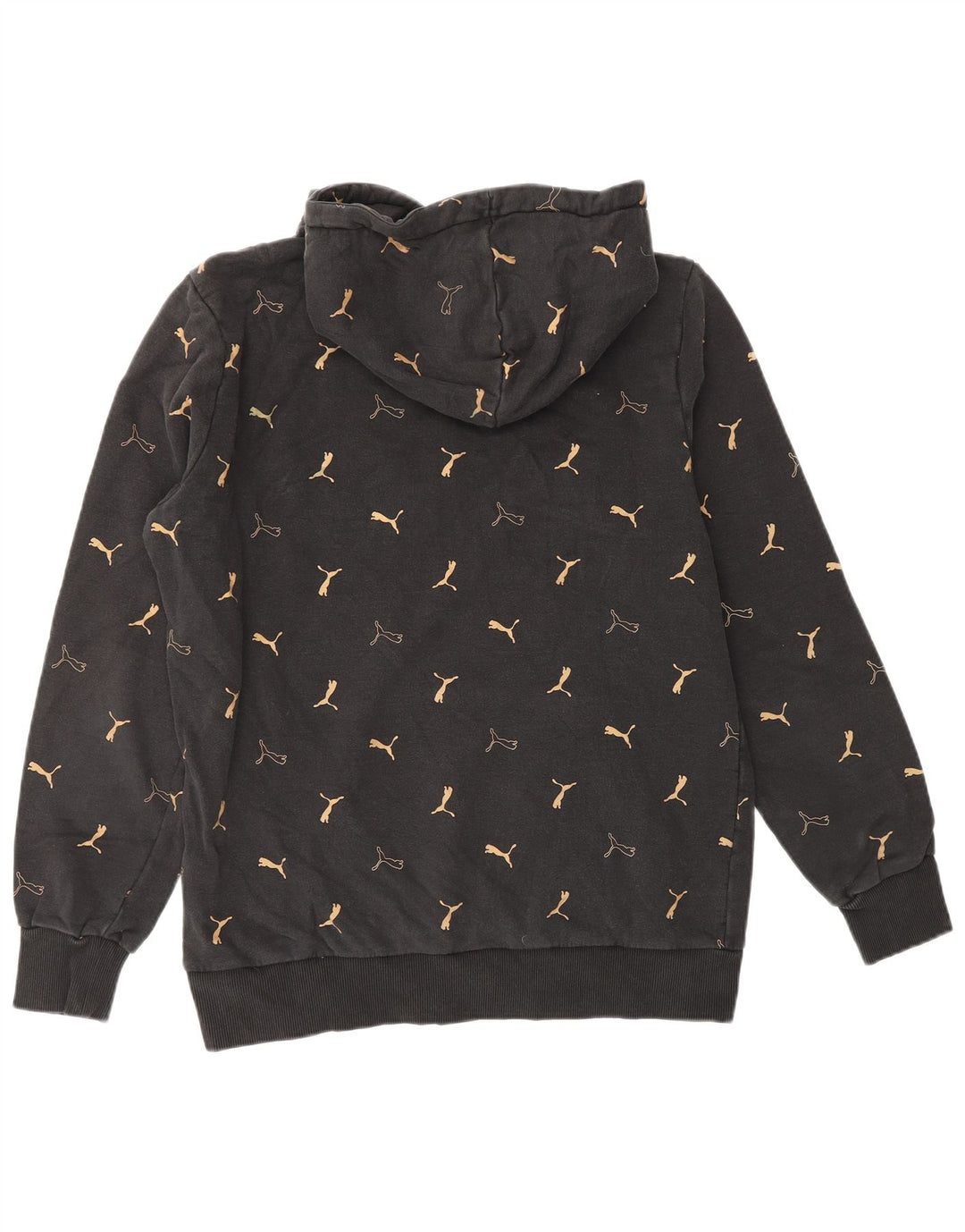 Ανδρικό γραφικό κουκούλα PUMA, μεσαίο μαύρο βαμβακερό