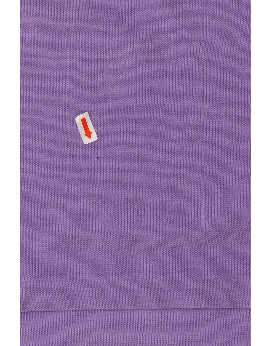 POLO RALPH LAUREN Ανδρικό πουκάμισο πόλο 2XL Μωβ βαμβακερό