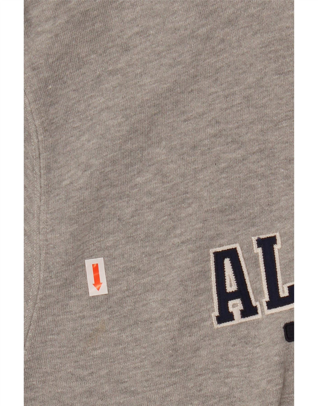 Champion Mens Alabama Graphic Hoodie Jumper Small Grey Colourblock Βαμβακερό