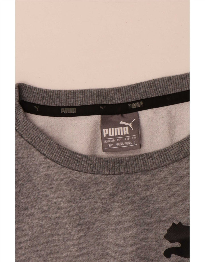 Ανδρικό γραφικό φούτερ Puma Jumper Small Grey