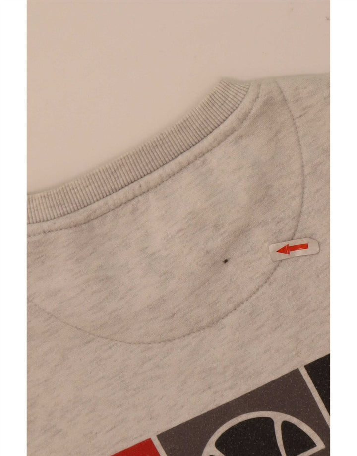 Γραφικό ανδρικό φούτερ Ellesse Jumper Μικρό Γκρι με φλύκταινες πολυεστέρα