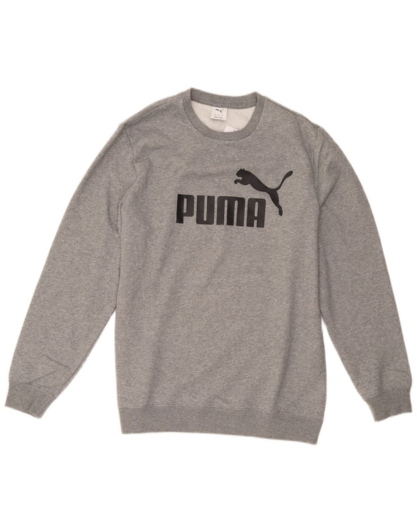 Ανδρικό γραφικό φούτερ Puma Jumper μεγάλο γκρι βαμβακερό