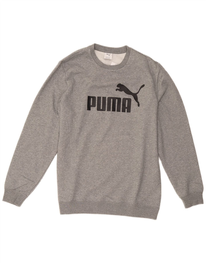 Ανδρικό γραφικό φούτερ Puma Jumper μεγάλο γκρι βαμβακερό