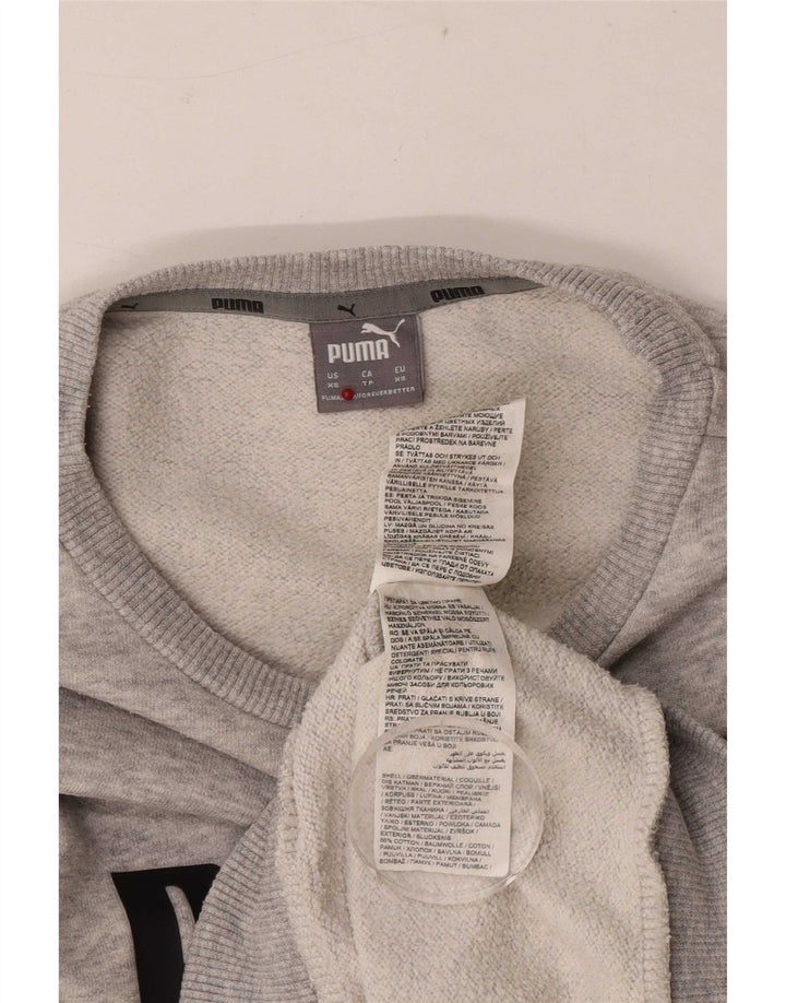 Ανδρικό γραφικό φούτερ Puma Jumper XS Γκρι βαμβακερό