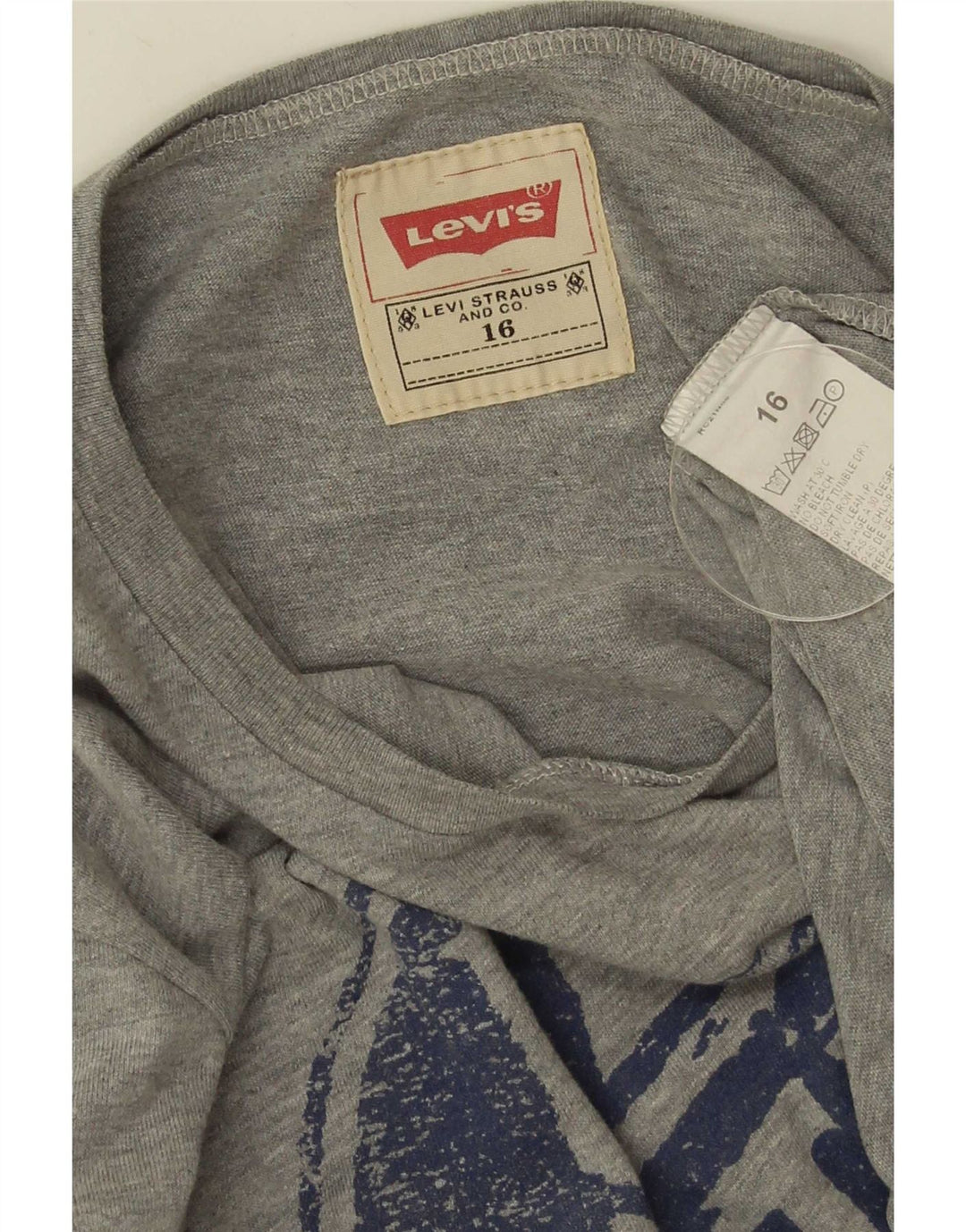 Levi's Boys Graphic Top Μακρυμάνικο 15-16 ετών Γκρι βαμβακερό