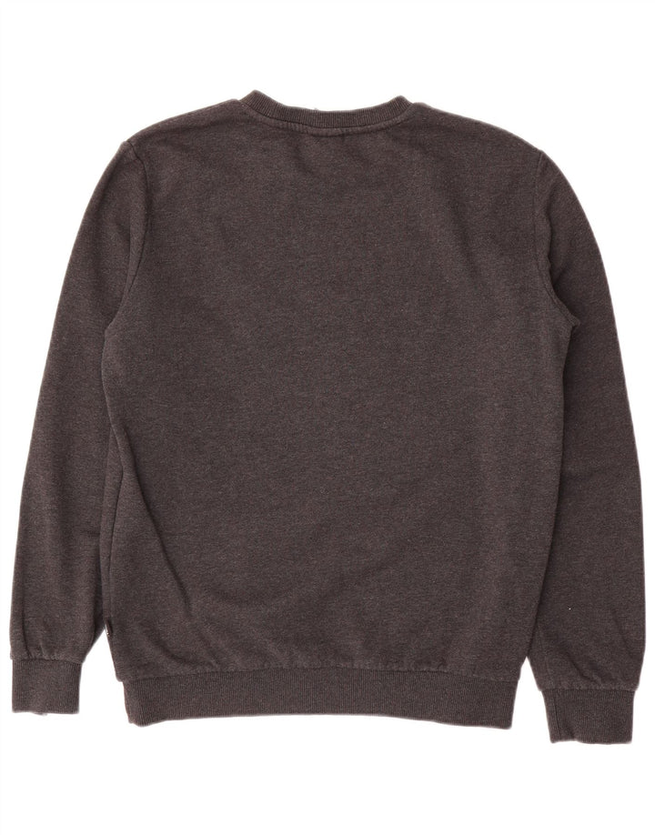 Ανδρικό φούτερ Puma Jumper Μικρό Γκρι Βαμβακερό