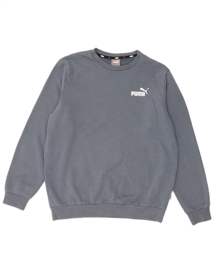 Ανδρικό φούτερ PUMA Jumper Μεσαίο γκρι βαμβακερό