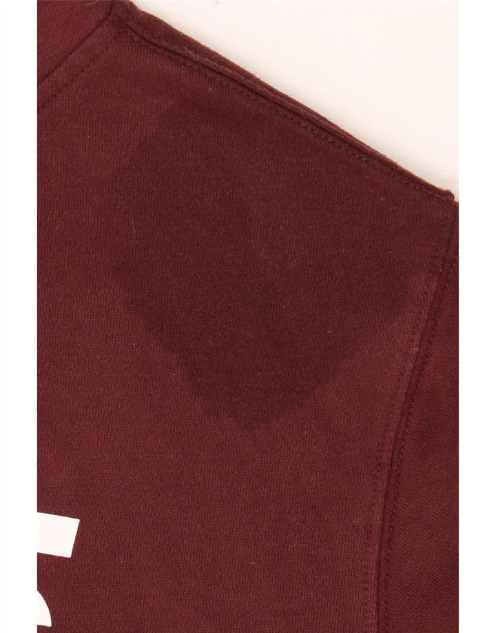 Ανδρικό γραφικό κουκούλα VANS Μικρό βαμβακερό μπορντό