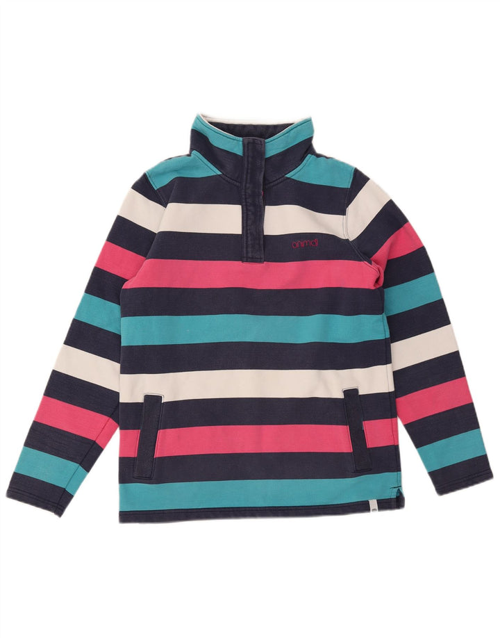 Γυναικεία φούτερ ANIMAL Jumper UK 10 Small πολύχρωμα ριγέ