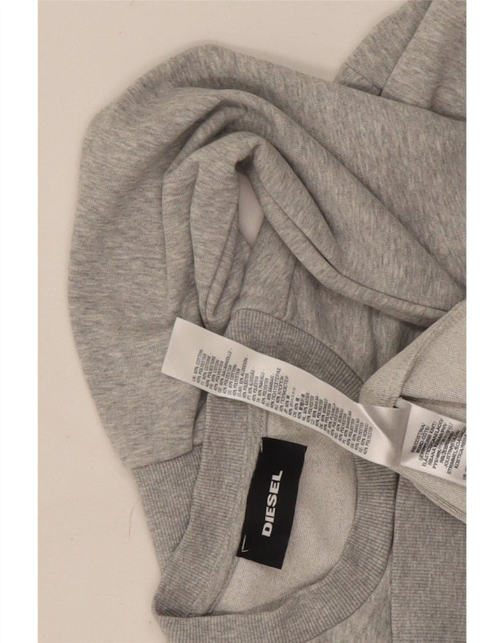 Diesel ανδρικό γραφικό φούτερ Jumper Μεγάλο γκρι βαμβακερό