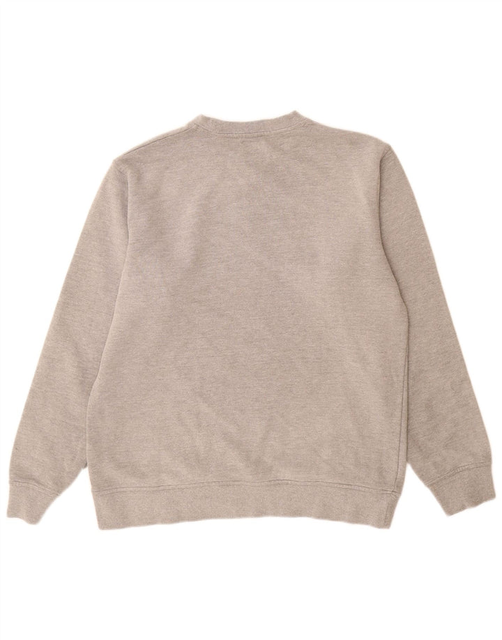 Ανδρικό γραφικό φούτερ Dickies Jumper μεγάλο γκρι βαμβακερό