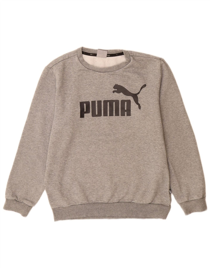 Ανδρικό γραφικό φούτερ Puma, βαμβακερό γκρι μικρό
