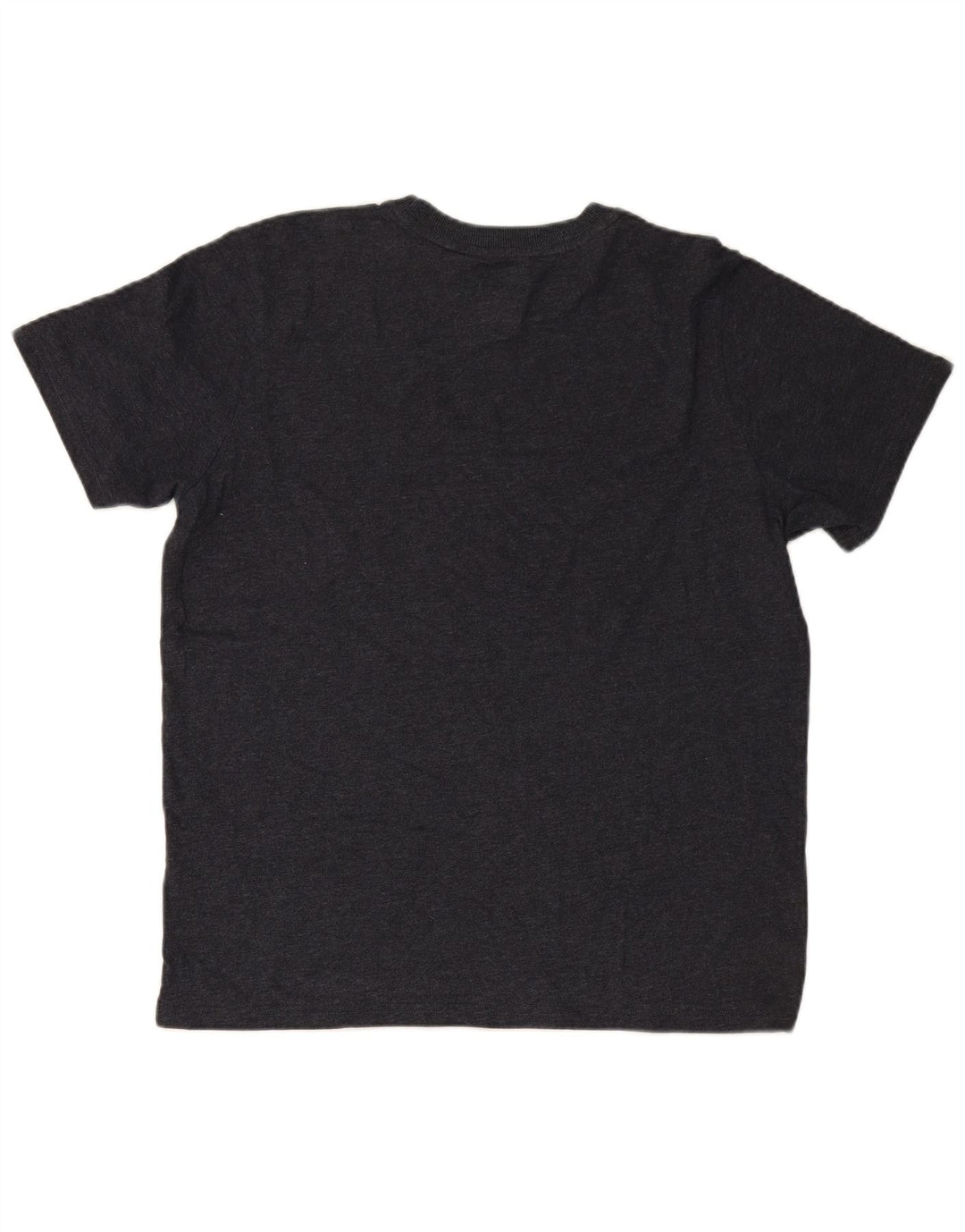 Ανδρικό γραφικό μπλουζάκι SUPERDRY Top XL Γκρι