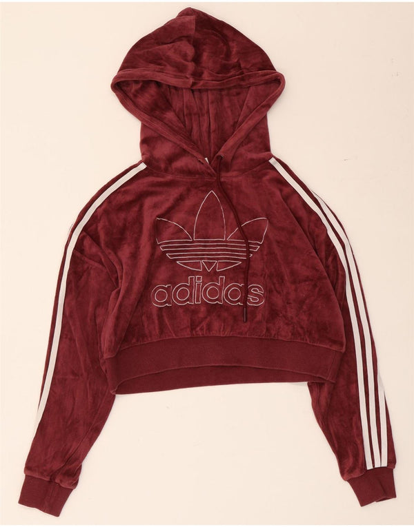 Γυναικεία Adidas Oversized Graphic Crop Hoodie Jumper UK 4 XS Βαμβακερό μπορντό