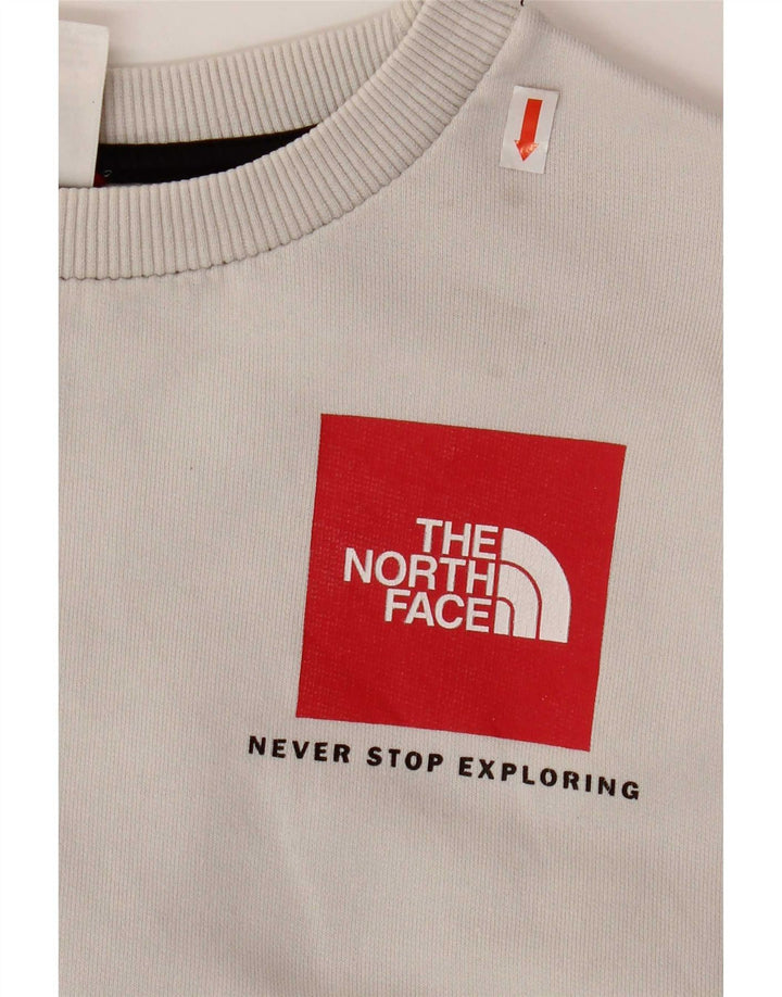 Ανδρικό φούτερ North Face Jumper Μικρό Γκρι Βαμβακερό