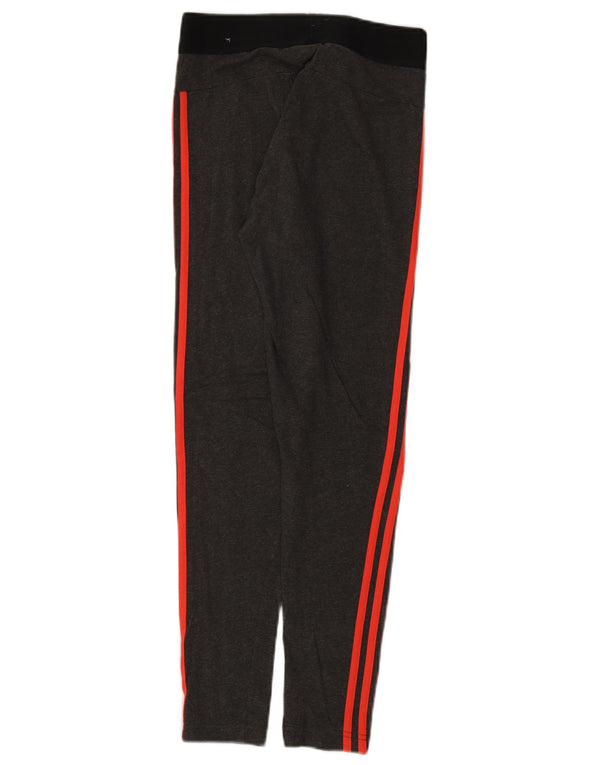 Γυναικείο κολάν Adidas UK 12/14 Βαμβακερό μεσαίο γκρι χρώμα
