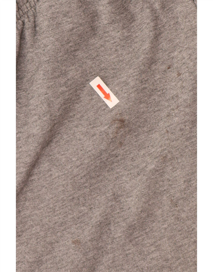 Ανδρικό γραφικό αθλητικό σορτς Puma σε γκρι χρώμα