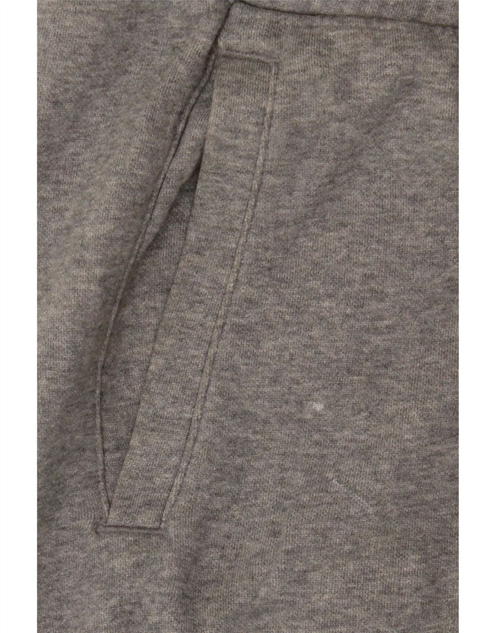 Ανδρικό αθλητικό σορτς Puma XL γκρι