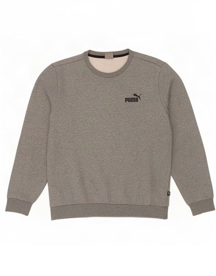 Ανδρικό φούτερ Puma Jumper, Βαμβακερό μεσαίο γκρι