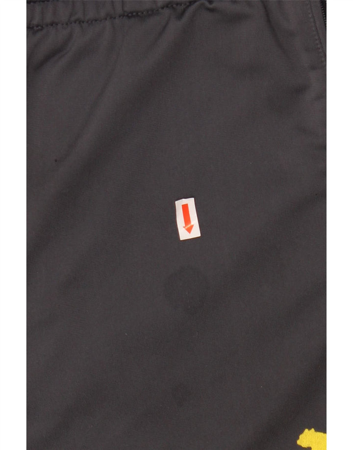 PUMA Ανδρικές φόρμες BVB Dortmund Παντελόνι XL Grey Colourblock