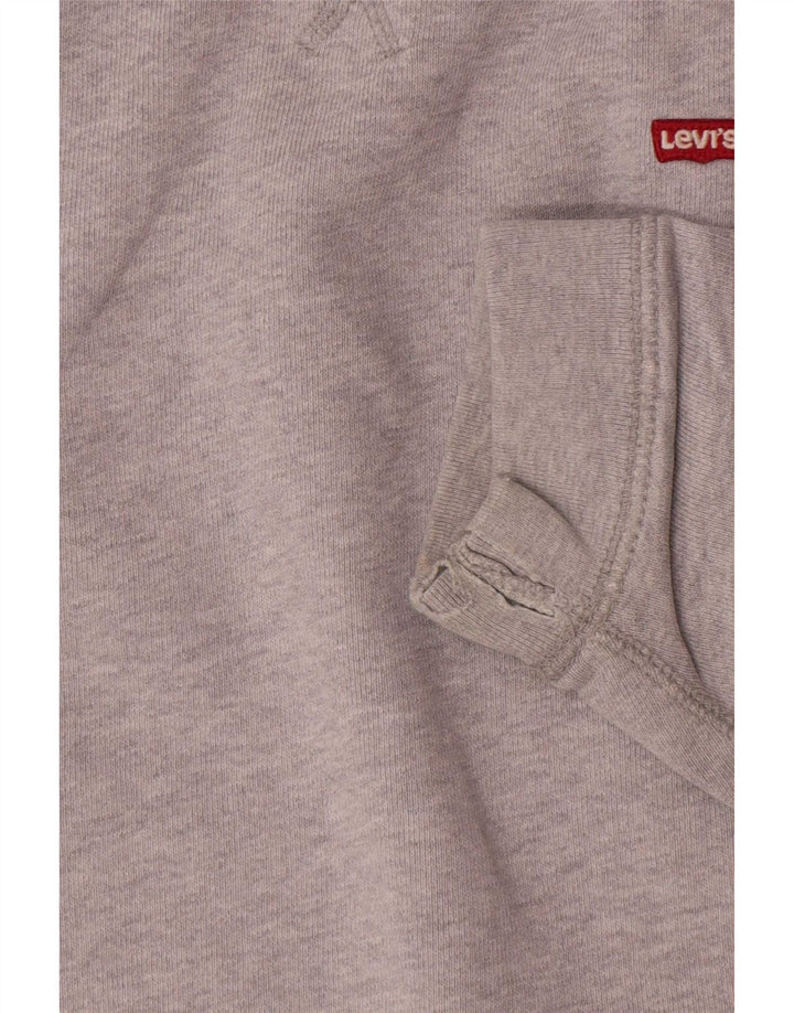 Ανδρική φούτερ Levi's Jumper Μεσαίο γκρι βαμβακερό