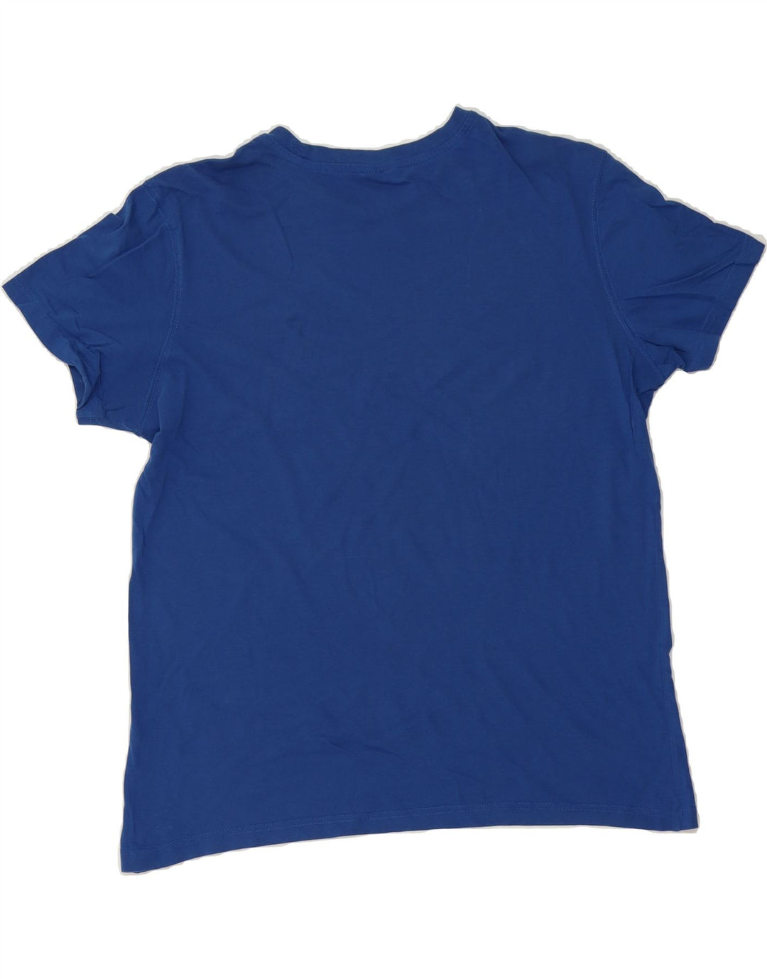 CHAMPION Mens Graphic T-Shirt Top Large Blue Vintage Champion and Second-Hand Champion from Messina Hembry 
