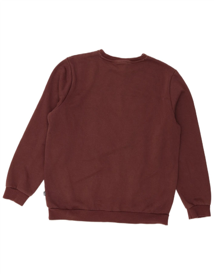 Ανδρικό γραφικό φούτερ Puma Jumper Μεσαίο καφέ