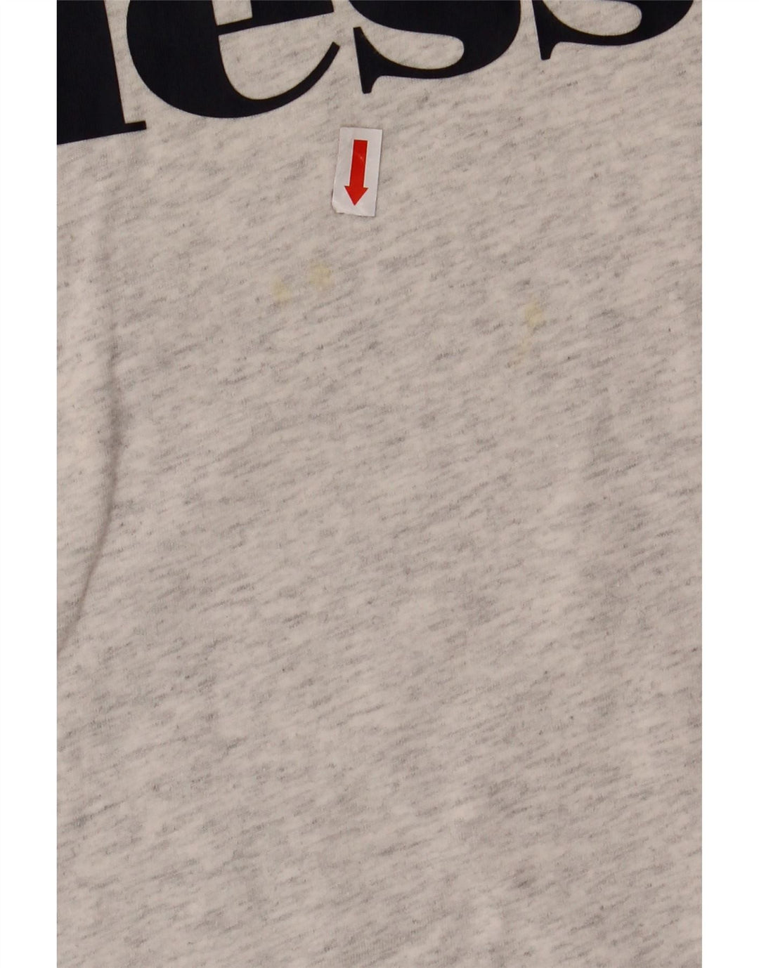 Γραφικό T-Shirt για κορίτσια ELLESSE 12-13 ετών βαμβακερό γκρι