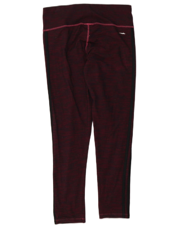 Γυναικεία Adidas Climalite κολάν UK 12/14 Βαμβακερά μεσαία μωβ